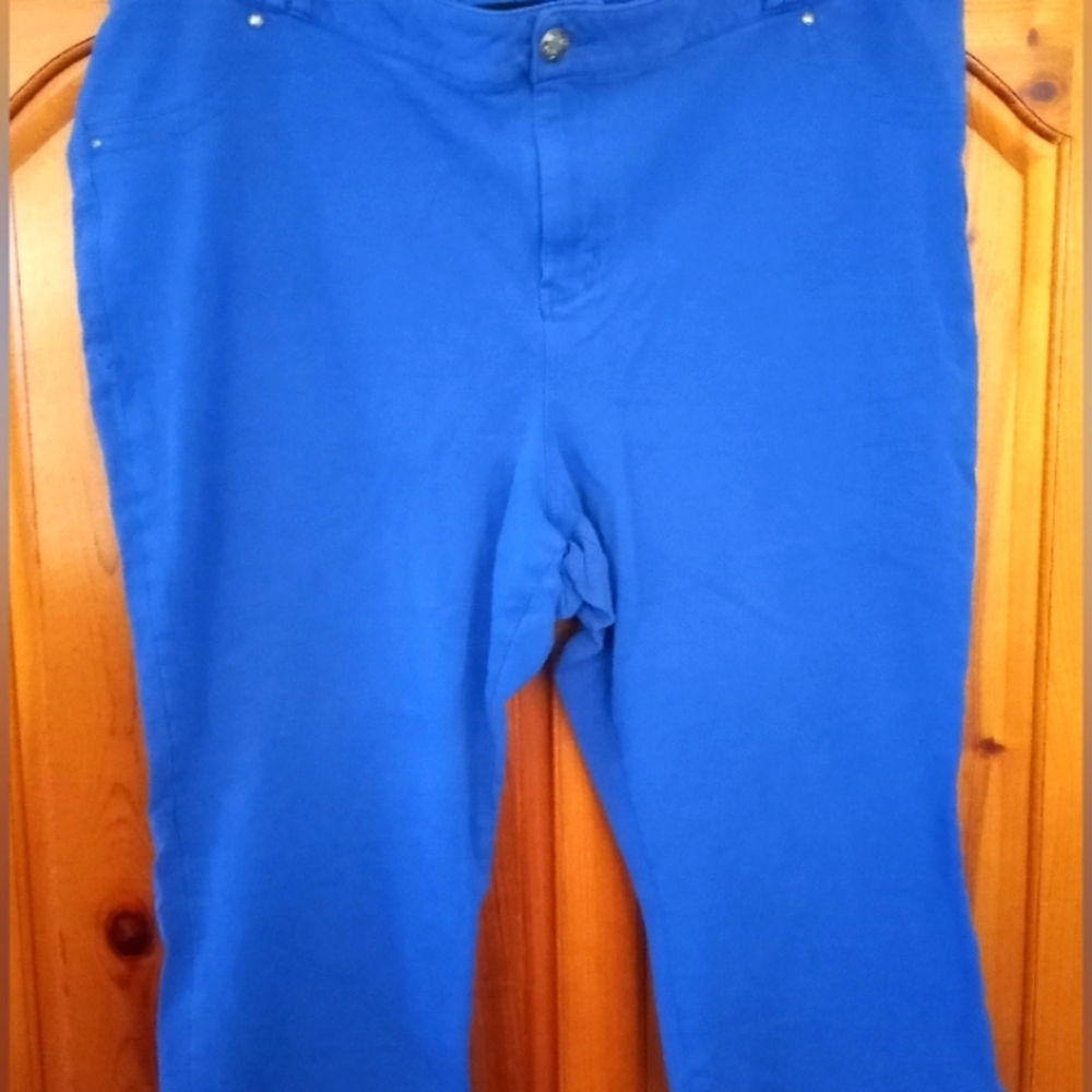 Blue Lane Bryant jeans